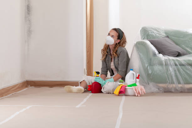 Reliable Mold Remediation contractor in Somerville, MA by Cheap Mold Removal